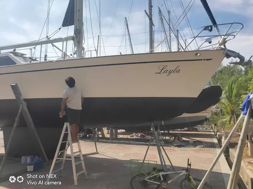 太平洋40——Layla在上排