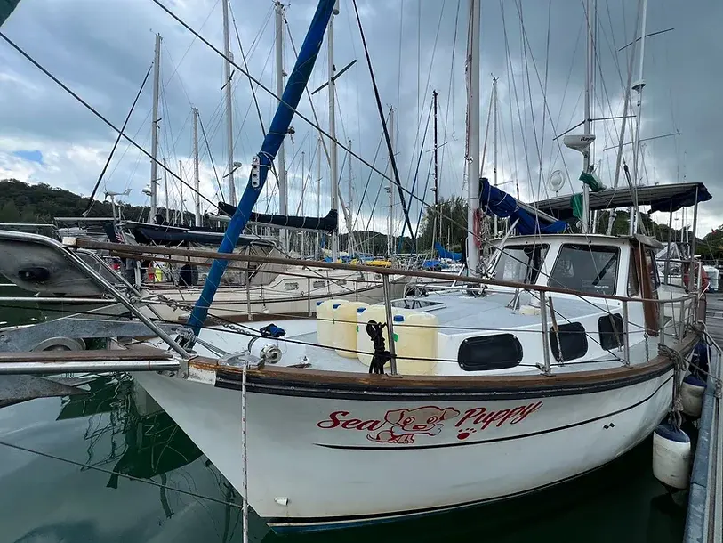 诺帝卡 33 MK II——Sea Puppy船首